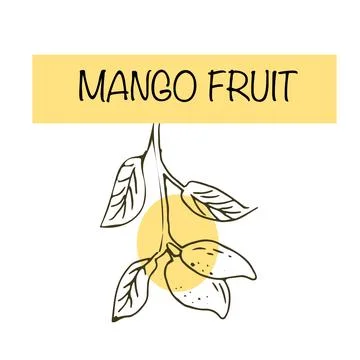 Hand drawn Mango fruit label イラスト素材