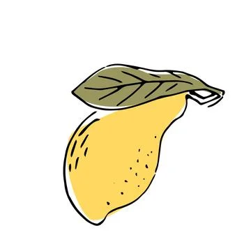 Hand drawn Mango fruit with leaves - ink sketch with color イラスト素材