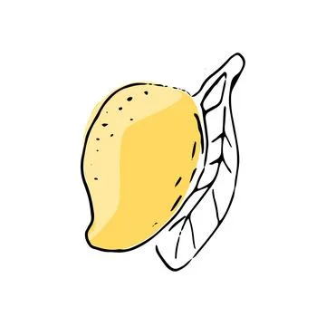 Hand drawn Mango fruit in sketch art イラスト素材