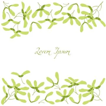 Hand drawn maple Stock Illustration