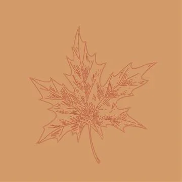 Hand drawn maple leaf outline. Maple leaf in line art style isolated on brown Stock Illustration
