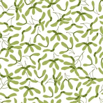 Hand drawn maple pattern イラスト素材