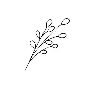 Hand-drawn meadow flower. Vector botanical illustration. Nature flower plan.. Illustrazione stock