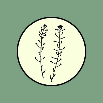 Hand drawn meadow grass emblem Stock Illustration