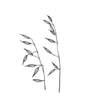 Hand drawn meadow grass Stock Illustration