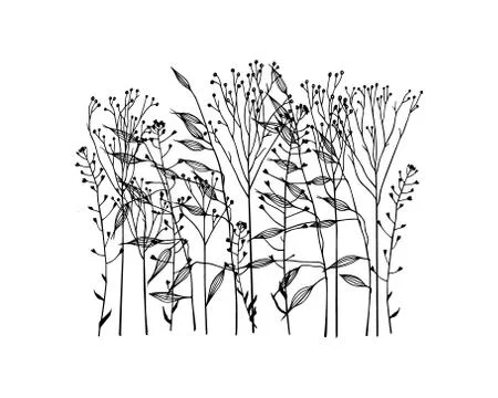 Hand drawn meadow grass Stock Illustration