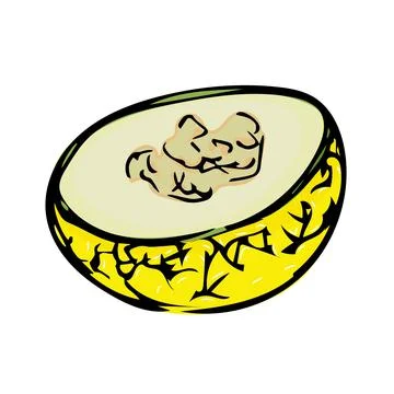 Hand drawn melon illustration isolated on white background. Stock Illustration