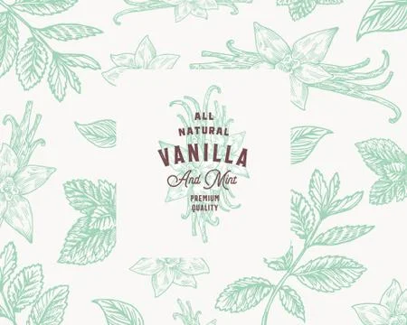 Hand Drawn Mint and Vanilla Vector Background Pattern. Abstract Spices Sketch Stock Illustration