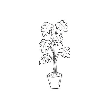 Hand drawn monstera in a pot Stock Illustration
