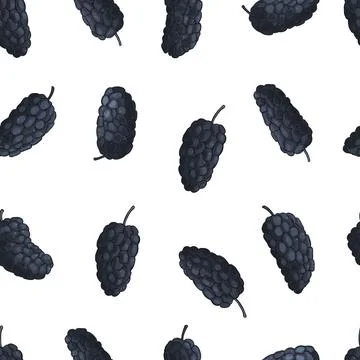 Hand drawn  mulberry.  Vector pattern 库存插图