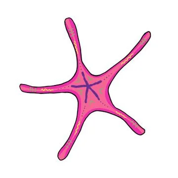 Hand-drawn multi-colored vector starfish Illustrazione stock