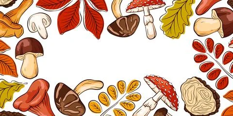 Hand drawn mushroom and leaf frame. Autumn season nature elements for greeting Stock Illustration