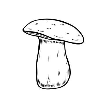 Hand drawn mushroom Illustrazione stock