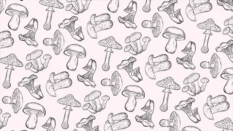 Hand drawn mushrooms background on a seamless loop Stock Footage 314935039