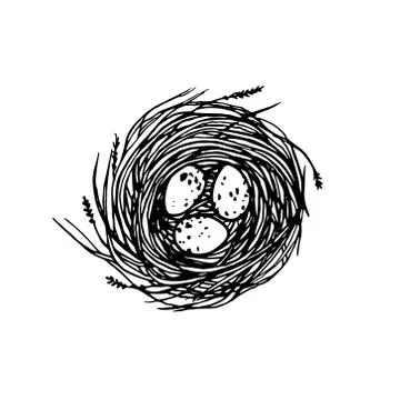 Hand drawn nest illustration Stock Illustration