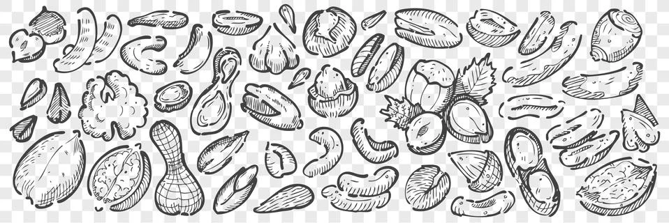 Hand drawn nuts doodle set Stock Illustration