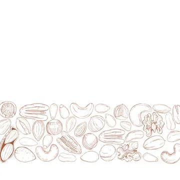 Hand drawn nuts. Vector sketch  illustration. Stock Illustration