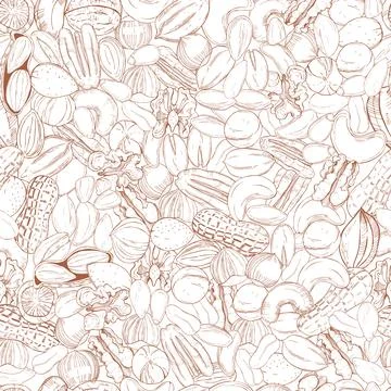 Hand drawn nuts. Vector sketch  illustration. Stock Illustration