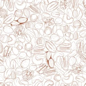 Hand drawn nuts. Vector sketch  illustration. Stock Illustration