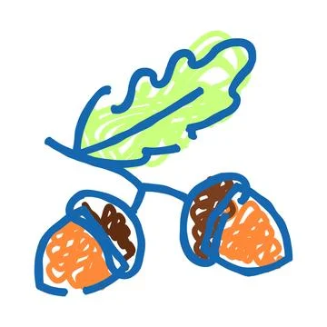 Hand drawn oak tree branch with acorns Stock Illustration