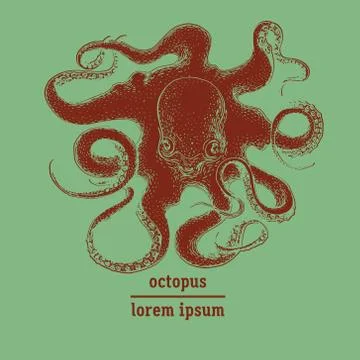 Hand drawn octopus illustration Stock Illustration