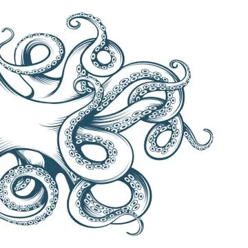 Hand Drawn Octopus Tentacles Illustrazione stock