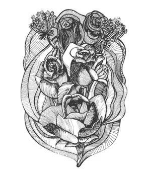 Hand drawn Old-styled rose. Black and white vector illustration Stock Illustration