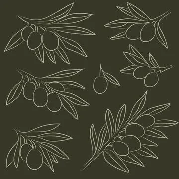 Hand drawn olive branches collection Stock Illustration