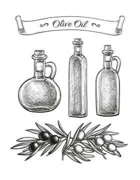 Hand drawn olive set. Illustrazione stock