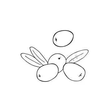 Hand-drawn olive set Stock Illustration