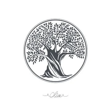 Hand-drawn olive sketch Stock Illustration