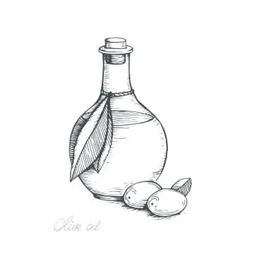 Hand-drawn olive sketch Stock Illustration