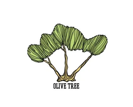 Hand drawn olive tree Stock Illustration