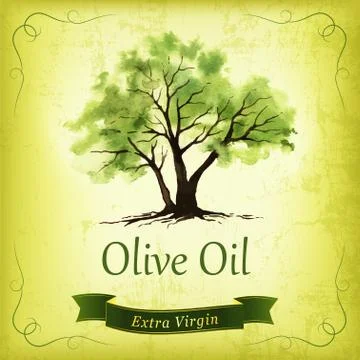 Hand drawn olive tree illustration with watercolor. Stock Illustration
