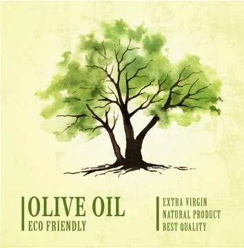 Hand drawn olive tree illustration with watercolor Stock Illustration