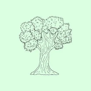 Hand-drawn olive tree vector illustration, isolated on a green background. .. Stock Illustration
