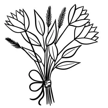 Hand drawn one black line illustration of floral flowers leaves. Elegant leaf Stock Illustration