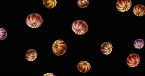 Hand-drawn orange autumn pumpkins falling down animation Stock Footage 130395547