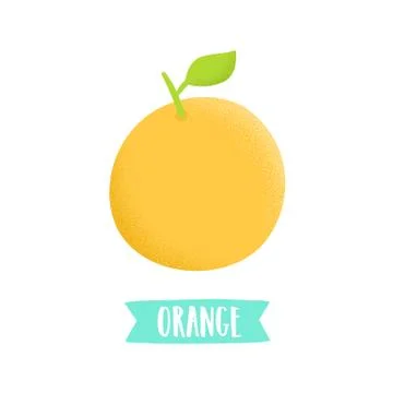 Hand drawn orange isolated on white. Stock Illustration