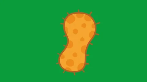 Hand Drawn Orange Peanut Bacteria Microbe Icon 2D Animation Green Screen Stock-Footage 341798789