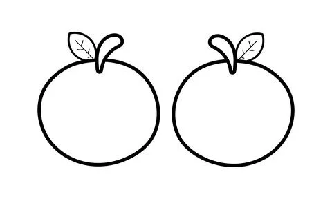 Hand drawn orange on white background Stock Illustration