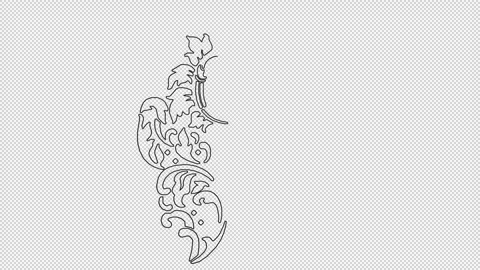 Hand Drawn Ornament, Exclusive, Alpha Channel, Unique Design, Sketch Stock Footage 270757664