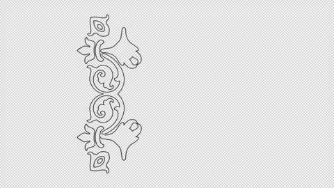 Hand Drawn Ornament, Unique Design, Sketch, Alpha Channel, Exclusive Stock Footage 270757991