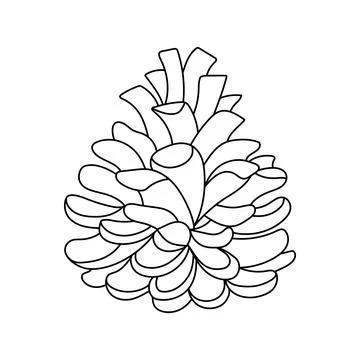Hand drawn outline pine cone. Vector illustration fir cone isolated on white for Stock Illustration