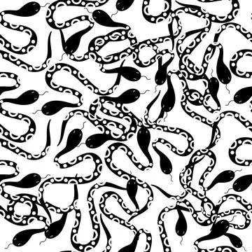 Hand  drawn outline , Vector snake illustration Ilustración de archivo