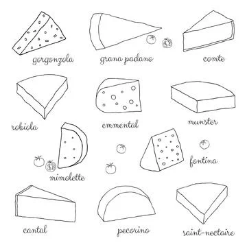 Hand drawn outlined cheese. 스톡 일러스트