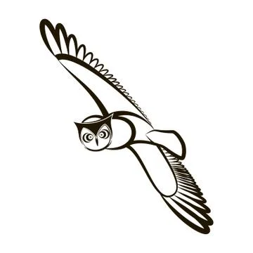Hand drawn owl. Opened wings. Black white plumage Stock Illustration