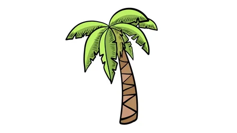 Hand Drawn Palm Tree Stock Footage 261305752