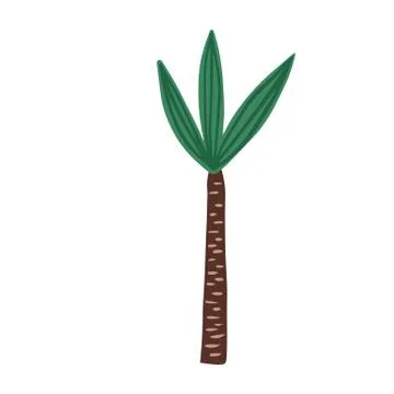 Hand drawn palm tree isolated on white background. Doodle exotic rainforest t Stock Illustration