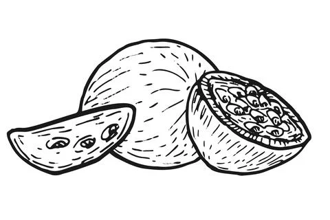Hand drawn passion fruit fruit whole, half and slices isolated Stock Illustration